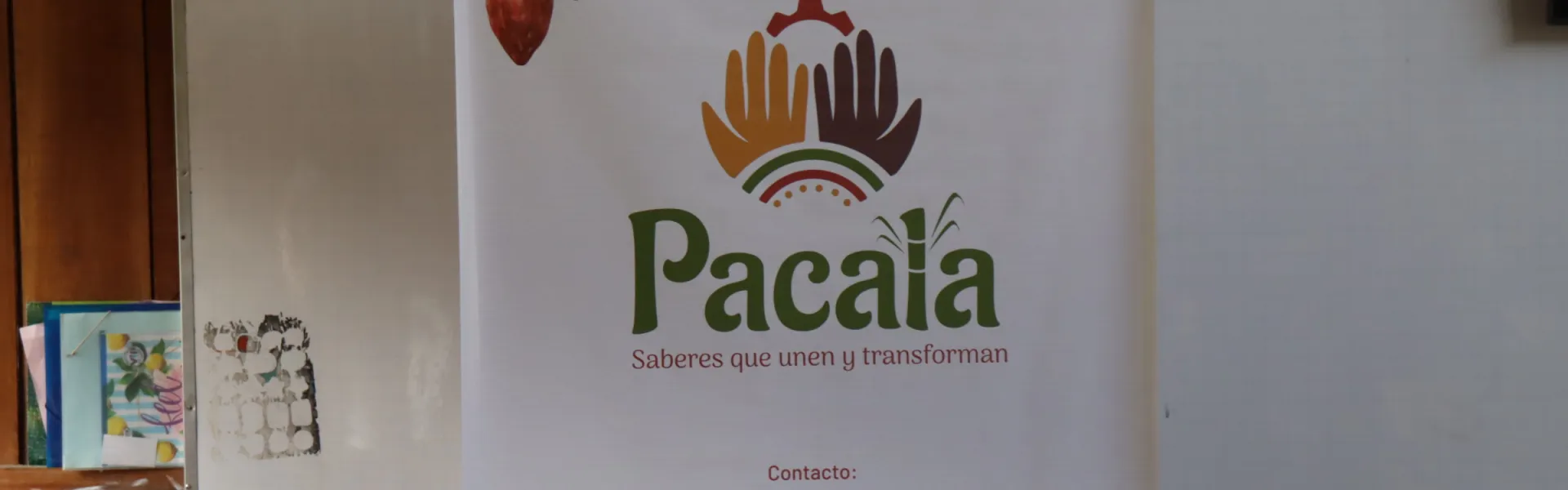 PACALA PACALA