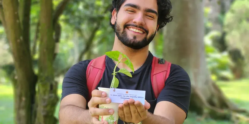 Principios y valores