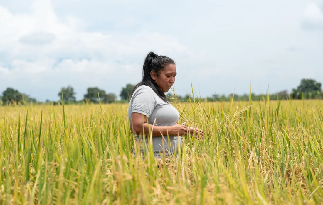 autonomía económica territorial