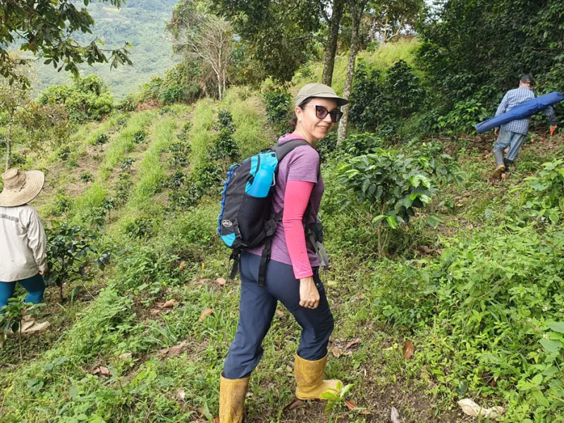 Estudio de profesora javeriana revela que fragmentación de los bosques afecta a población de orquídeas epífetas