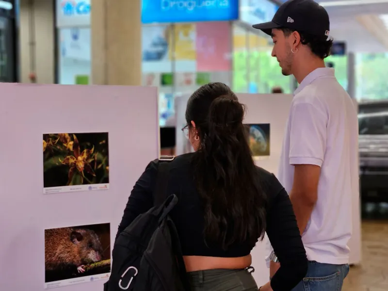 Muralismo y fotografía, una oda a la biodiversidad de la Javeriana Cali que engalana los pasillos del Centro Comercial Jardín Plaza 